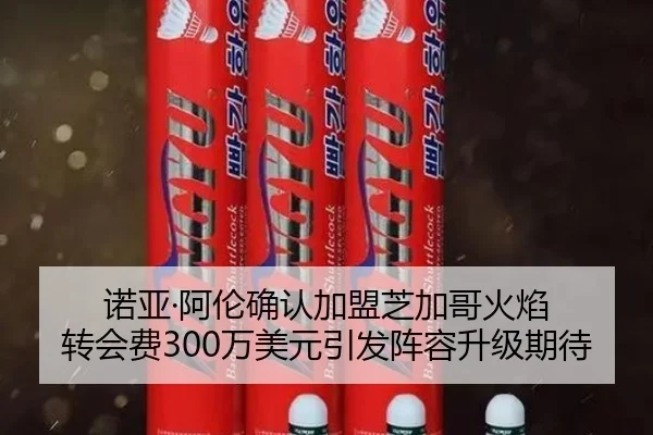 诺亚·阿伦确认加盟芝加哥火焰 转会费300万美元引发阵容升级期待